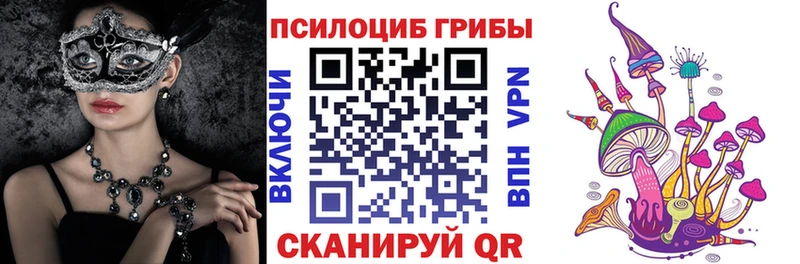 Купить где  Омск  Галлюциногенные грибы Psilocybe 