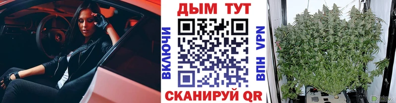 Купить где  Омск  МАРИХУАНА VHQ 